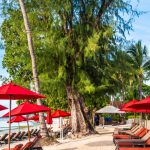 Découvrez la Martinique : un voyage inoubliable entre plages et culture !